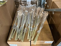 Partij wild reed plume 75cm (1790x) - afbeelding 1 van  3