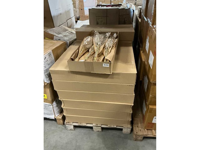 Partij wilde rietpluimen 75cm natural (240x) - afbeelding 2 van  4