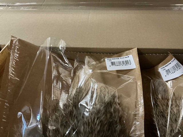 Partij wilde rietpluimen 75cm natural (240x) - afbeelding 4 van  4