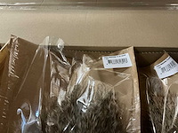 Partij wilde rietpluimen 75cm natural (240x) - afbeelding 4 van  4