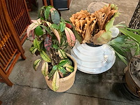 Partij woonaccessoires - afbeelding 6 van  12