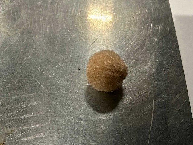 Partij zakjes vilt balletjes (1176x) - afbeelding 7 van  7