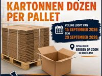 Partijveiling; kartonnen dozen per pallet