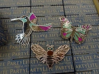 Partylite - p92998 - nature's flight magnet trio set (1584x)