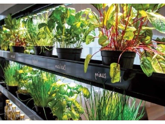 Parus eco natura divider 180 watt kweekbak (9x) - afbeelding 2 van  6
