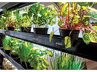 Parus eco natura divider 180 watt kweekbak (9x) - afbeelding 2 van  6
