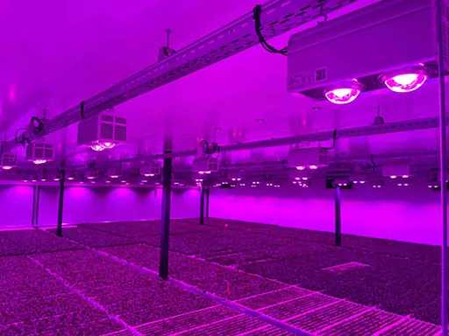 Parus led armatuur ra350 en ra300 - afbeelding 21 van  21