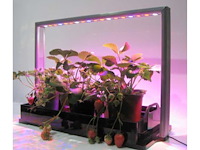 Parus m30 pro mini farm 65cm - afbeelding 1 van  4