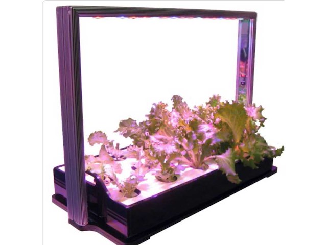Parus m30 pro mini farm 65cm - afbeelding 2 van  4