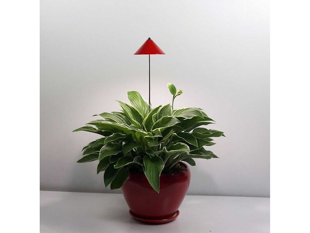 Parus potled isun-pole wit 30w plantenbak verlichting (45x) - afbeelding 1 van  3