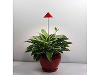 Parus potled isun-pole wit 30w plantenbak verlichting (45x) - afbeelding 1 van  3