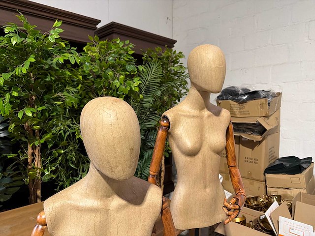 Paspop (2x) - afbeelding 2 van  4