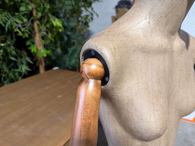 Paspop (2x) - afbeelding 3 van  4