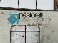 Pastorelli - notre dane - 10x10 cm - 41 m2 - partij wandtegel - afbeelding 3 van  3