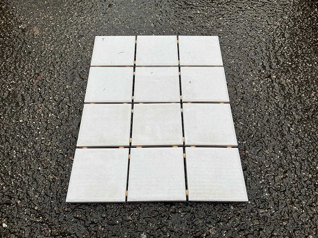 Pastorelli - notre dane - 10x10 cm - 41 m2 - wandtegels - afbeelding 1 van  6