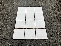 Pastorelli - notre dane - 10x10 cm - 41 m2 - wandtegels - afbeelding 1 van  6
