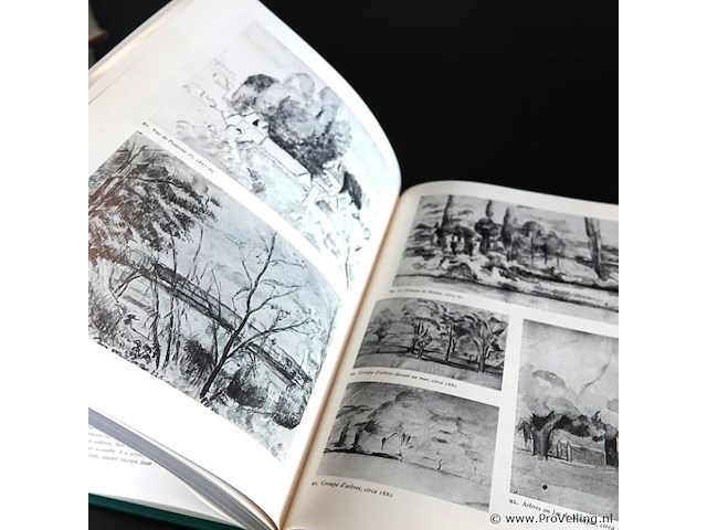 Paul cezanne - afbeelding 4 van  5