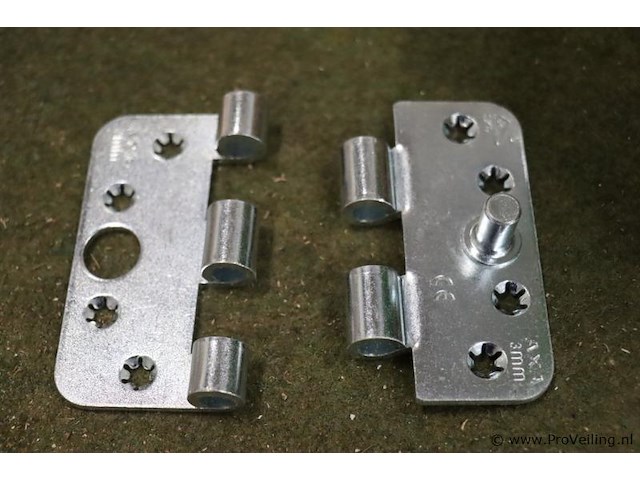 Paumelle scharnieren - afbeelding 3 van  4