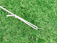 Paviljoen vivara 300 x 300 - afbeelding 5 van  14