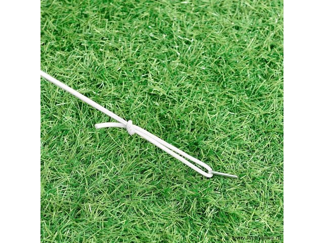 Paviljoen vivara 300 x 300 - afbeelding 5 van  14