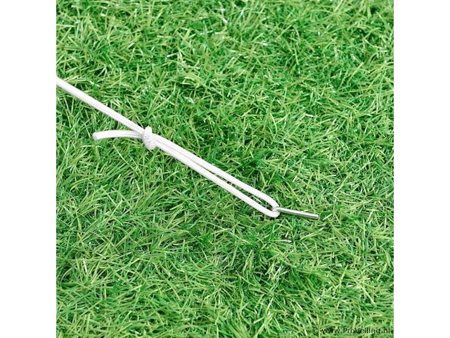 Paviljoen vivara 300 x 300 - afbeelding 5 van  14