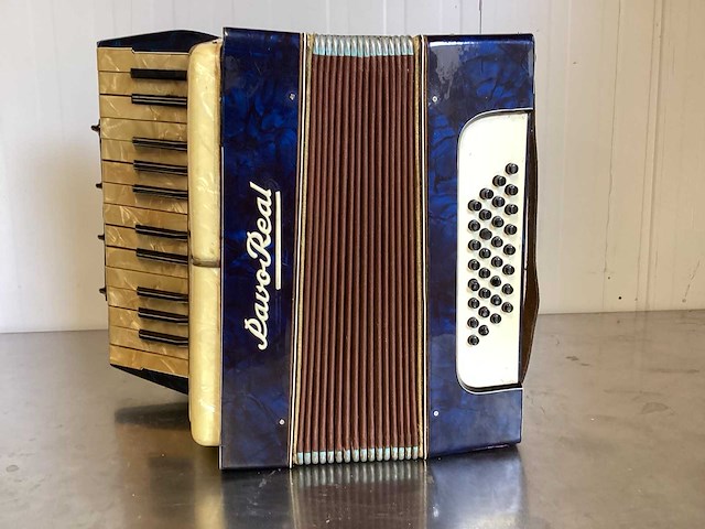Pavo real accordeon met jbl box - afbeelding 1 van  9