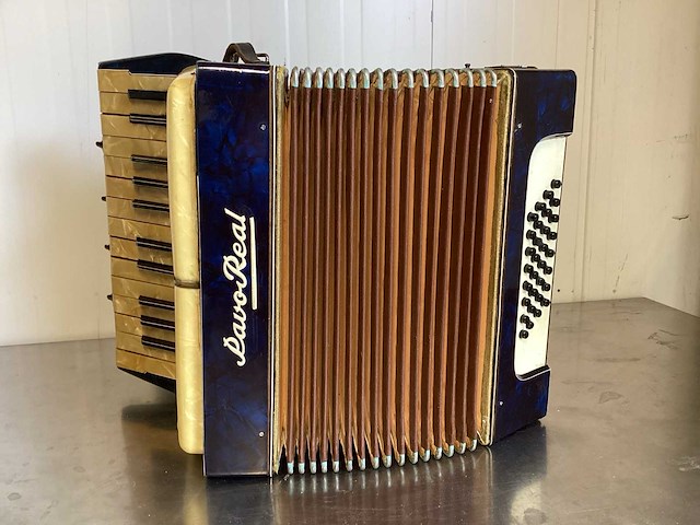 Pavo real accordeon met jbl box - afbeelding 3 van  9