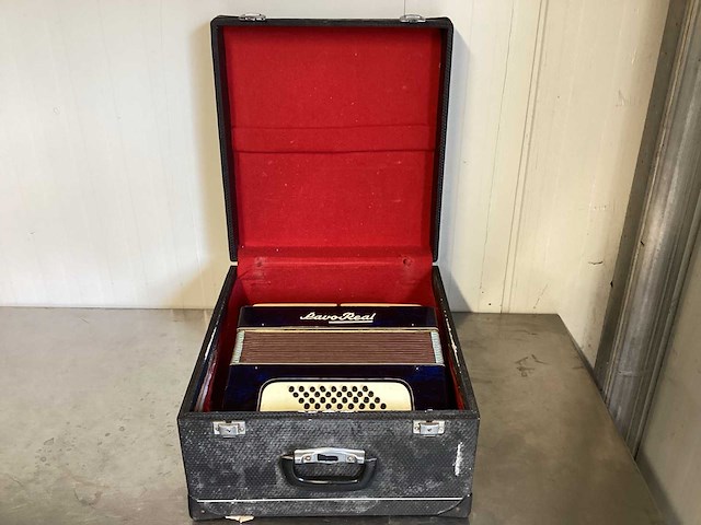 Pavo real accordeon met jbl box - afbeelding 9 van  9