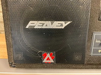 Peavey eurosys 12 pm podium monitor 12” - afbeelding 4 van  7