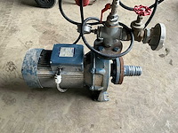 Pedrollo f32/200b waterpomp - afbeelding 6 van  9