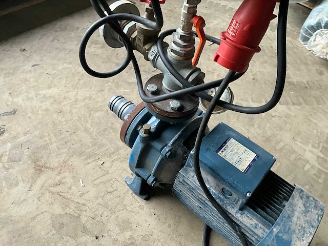 Pedrollo f32/200b waterpomp - afbeelding 4 van  9