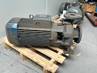 Pedrollo f50/200a pompunit - afbeelding 1 van  4