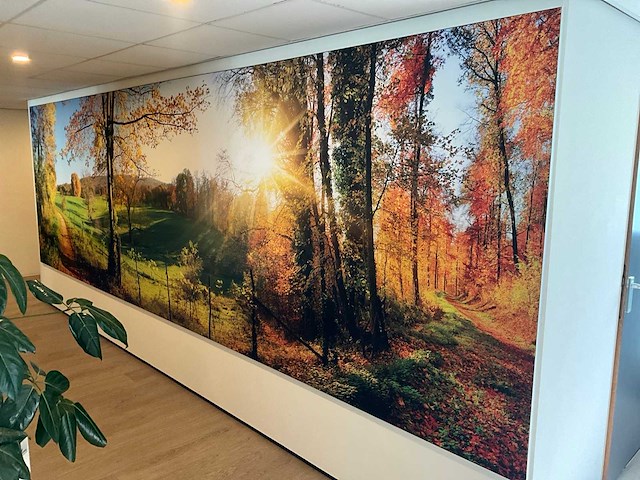 Peesdoek in frame (3x) - afbeelding 4 van  4