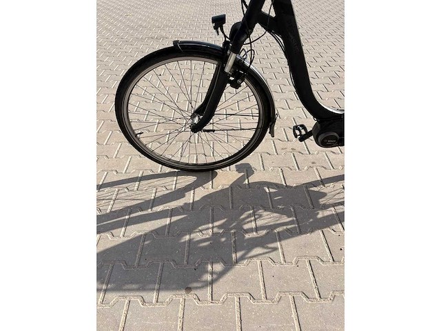 Pegasus - piazza e7f - elektrische fiets - afbeelding 4 van  6