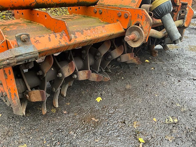 Pegoraro lo grasland frees met kooirol - afbeelding 11 van  15