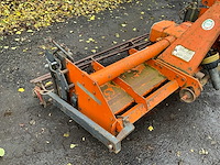 Pegoraro lo grasland frees met kooirol - afbeelding 12 van  15