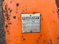 Pegoraro lo grasland frees met kooirol - afbeelding 15 van  15