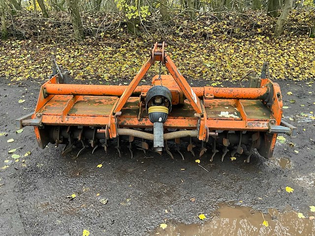 Pegoraro lo grasland frees met kooirol - afbeelding 2 van  15