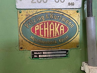 Pehaka sh9 verticale lintzaagmachine - afbeelding 4 van  4