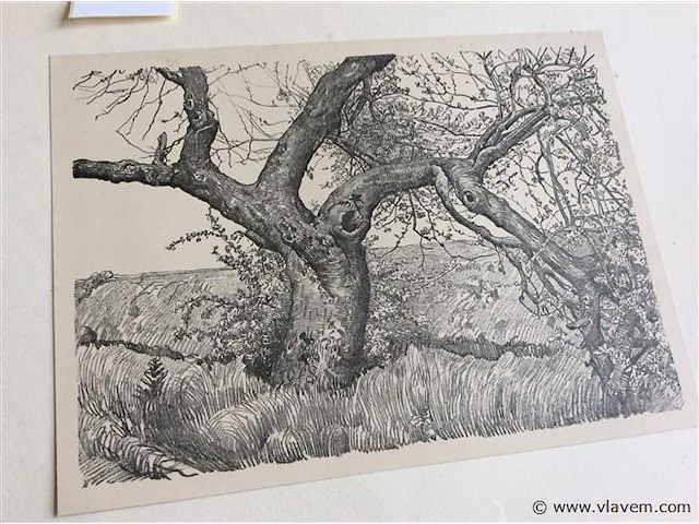 Pentekening - afbeelding 2 van  2