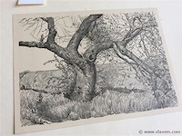 Pentekening - afbeelding 2 van  2