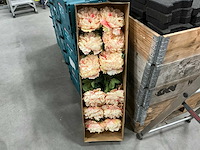 Peony single bud 71cm pink (12x) - afbeelding 1 van  3