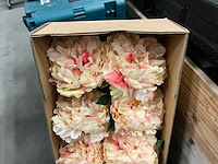 Peony single bud 71cm pink (12x) - afbeelding 2 van  3