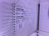 Pepsi - display koelkast - verrijdbaar - 417l - afbeelding 7 van  19