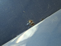 Personenauto, audi, tt, 1.8 5v turbo quattro, blauw, 1999 - afbeelding 54 van  64