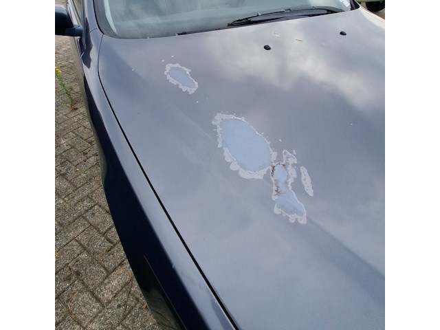 Personenauto, bmw, 5-serie, 523i executive, 1996 - afbeelding 4 van  14