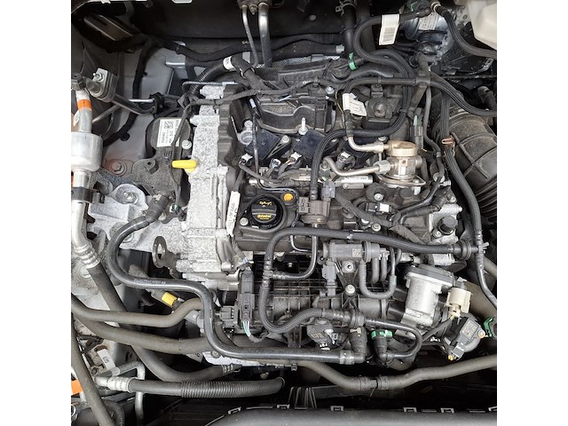 Personenauto, ford, 1.0 ecoboost hybrid st line, 2022 - afbeelding 38 van  48