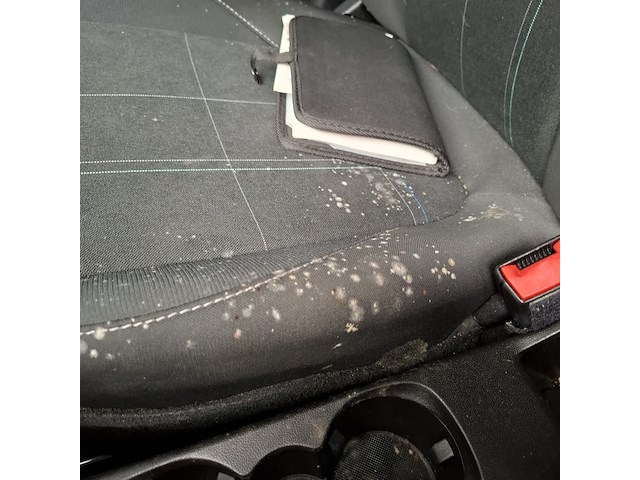 Personenauto, ford, fiesta, 1.1 trend, 2018 - afbeelding 2 van  31