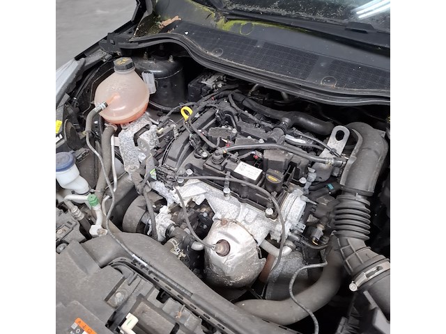 Personenauto, ford, fiesta, 1.1 trend, 2018 - afbeelding 14 van  31