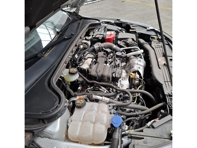 Personenauto, ford, focus, 2023 - afbeelding 18 van  27